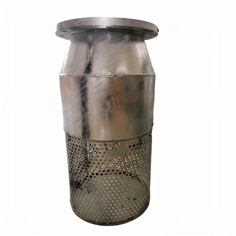 Foot Valve with Pipe Flange