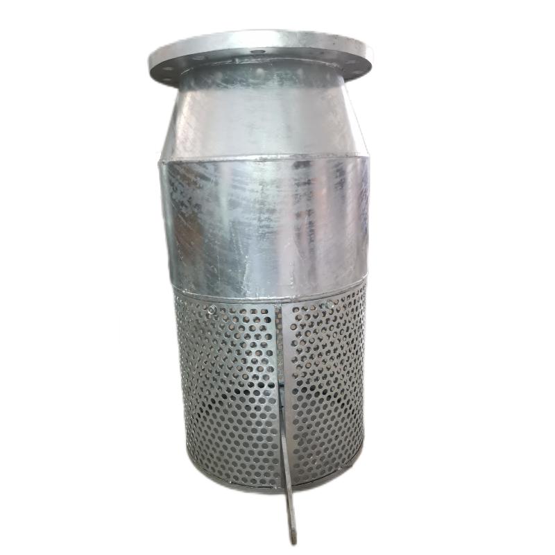 Foot Valve with Pipe Flange