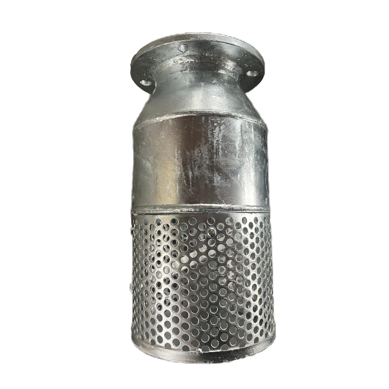 Foot Valve with Pipe Flange