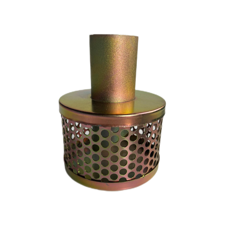 Strainer with Pipe