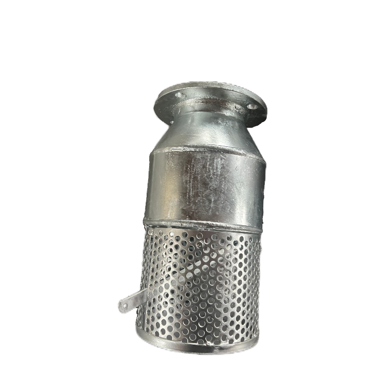 Foot Valve with Pipe Flange